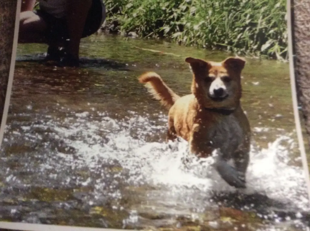 Condolence image of Mama und Papa