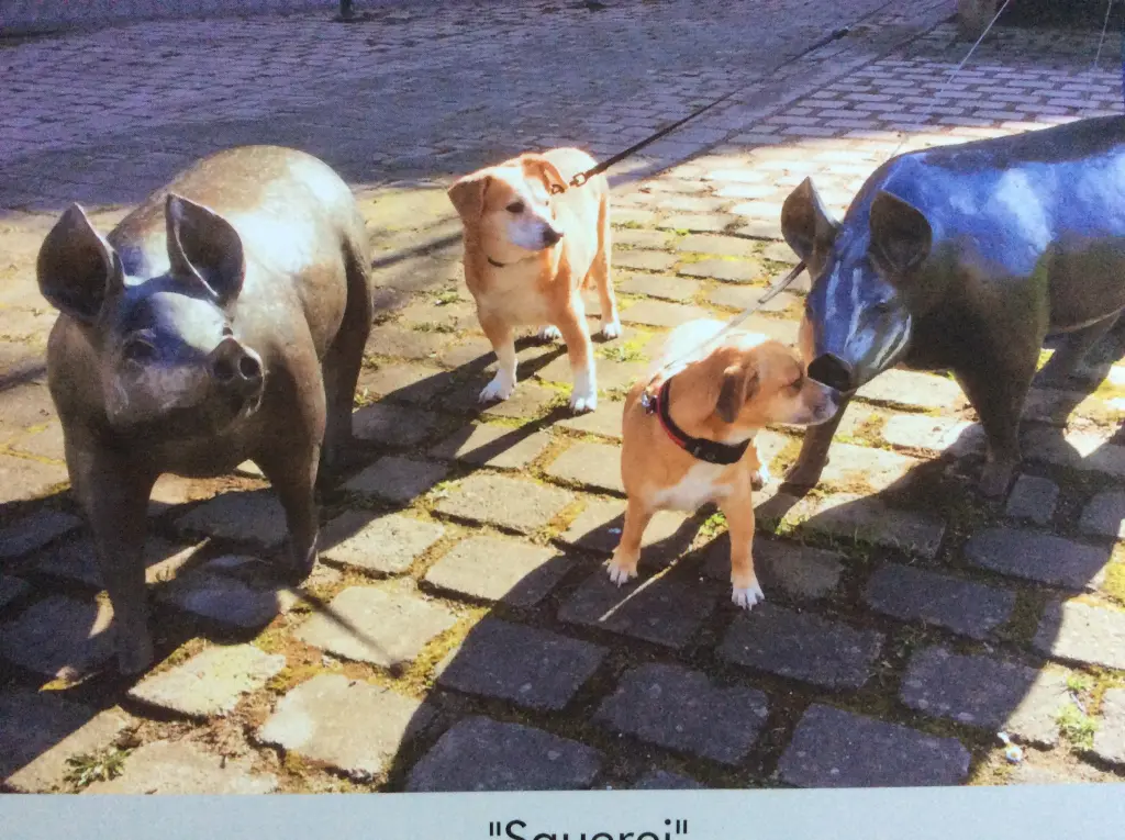 Condolence image of Mama und Papa