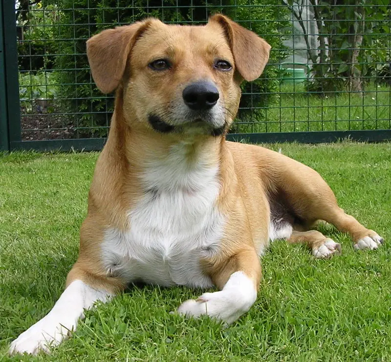 Condolence image of Mama und Papa