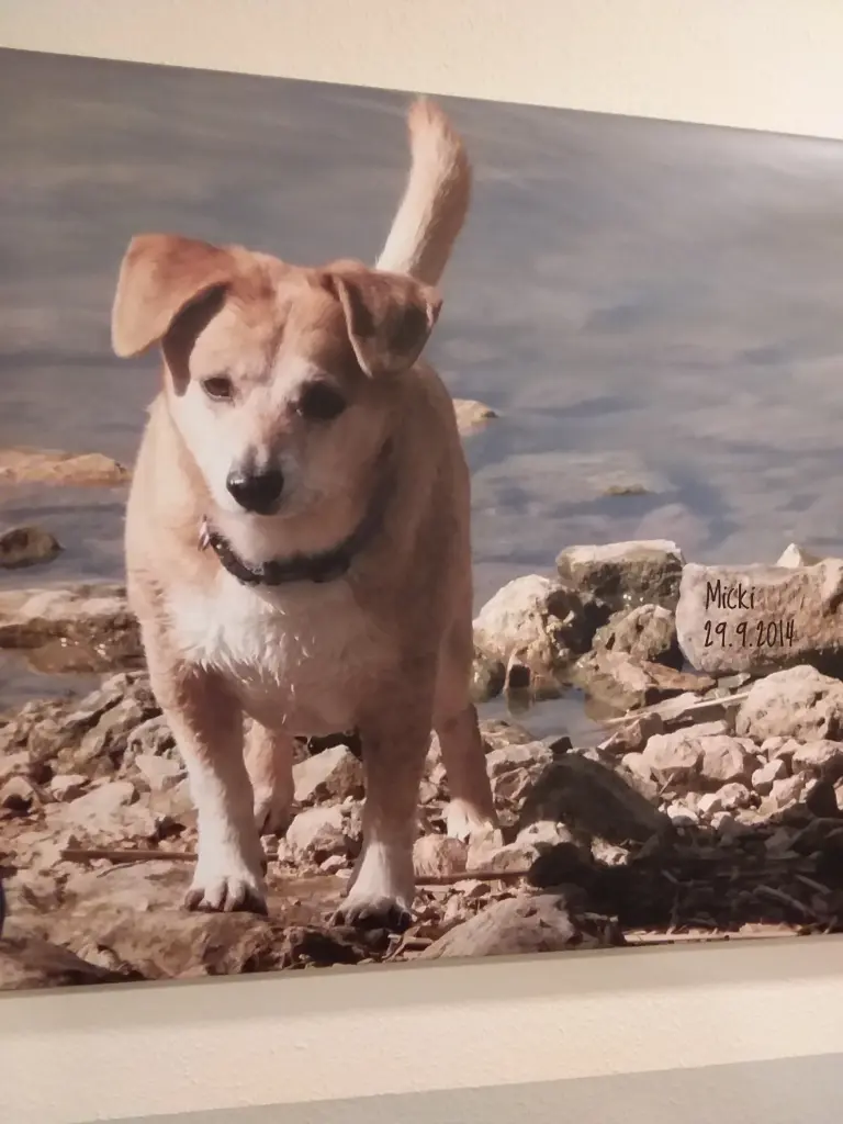 Condolence image of Mama und Papa