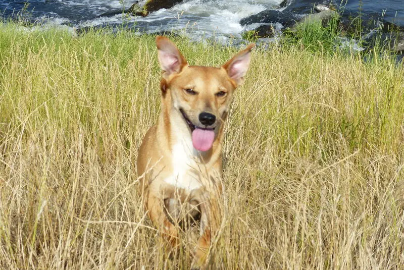 Condolence image of Dein Papa Ingo Kroll