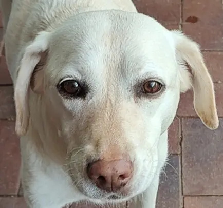 Bild von Maya