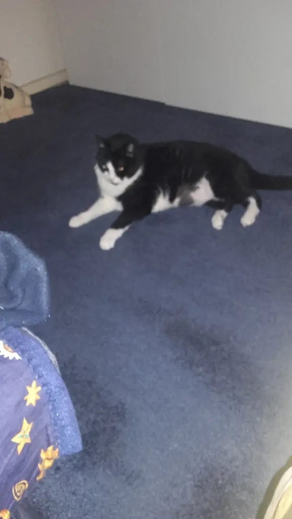 Condolence image of Ute