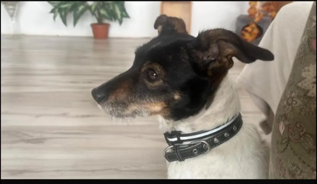 Andachtsbild von Daniel Fischer