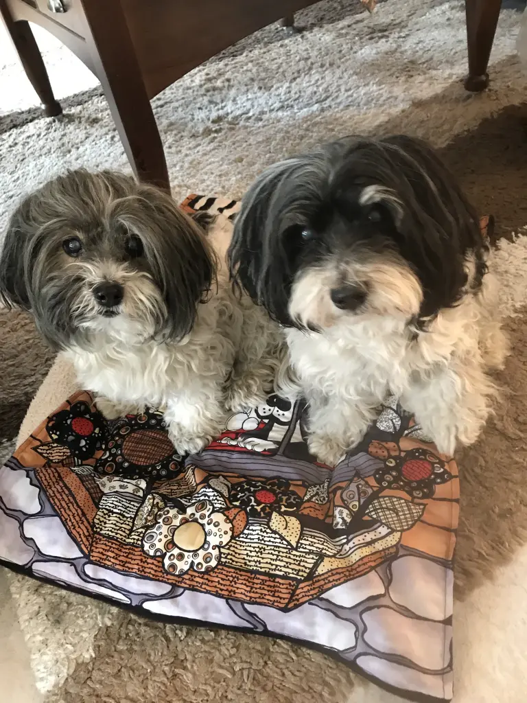 Condolence image of Gitte