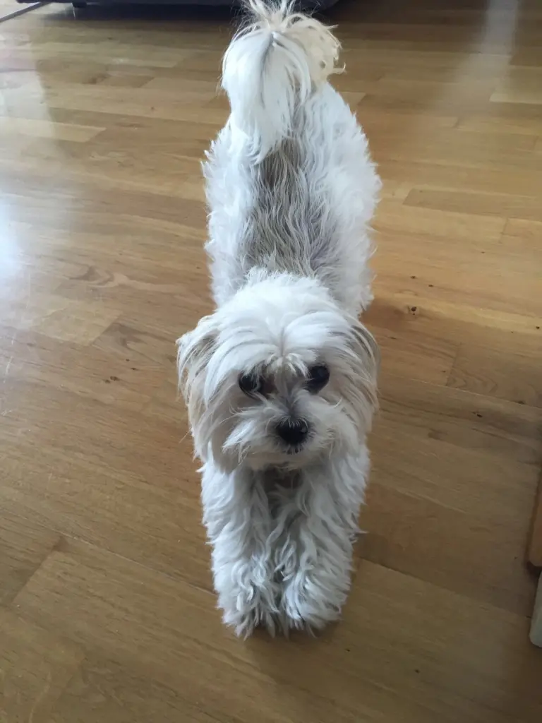 Condolence image of Melanie 