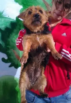 Condolence image of Steffi von koerbchen-gesucht.de