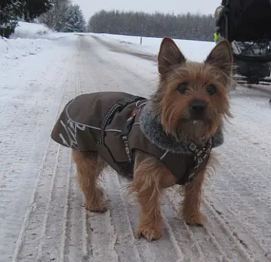 Condolence image of Sandra