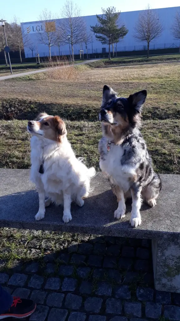 Andachtsbild von Janine Kicza