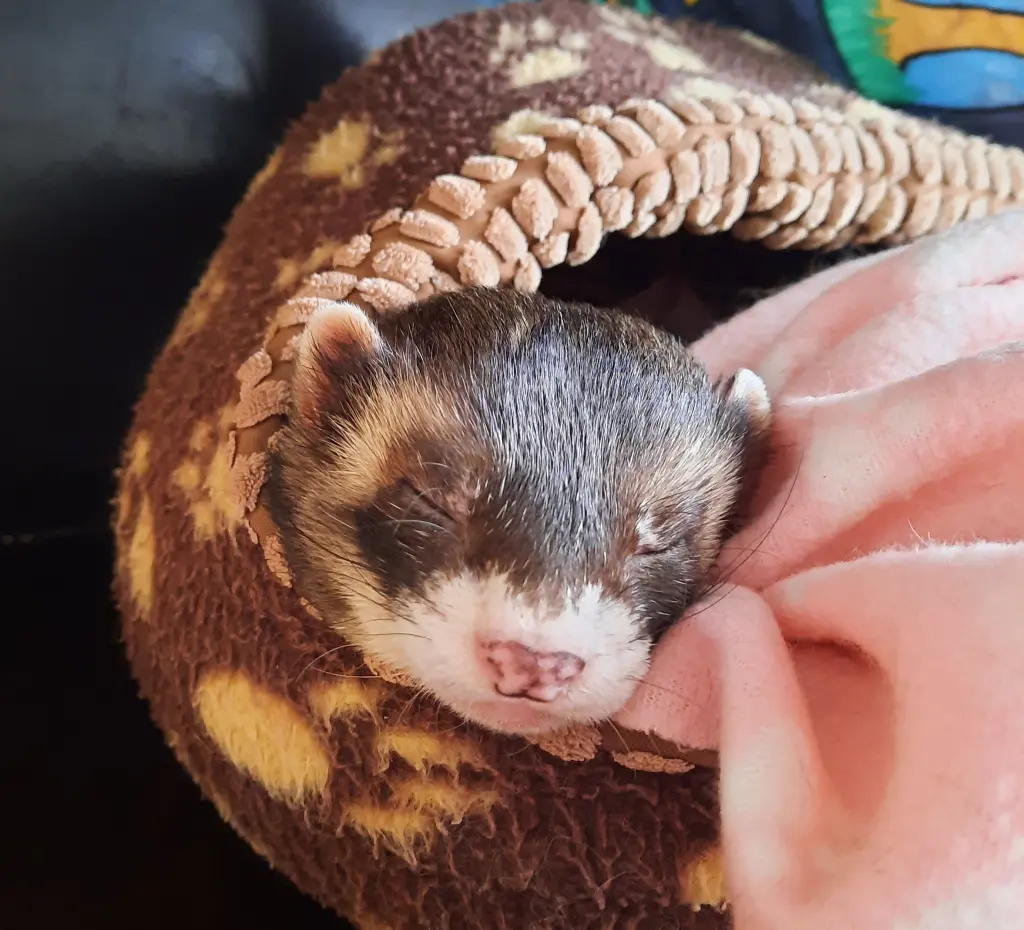 Andachtsbild von Annette