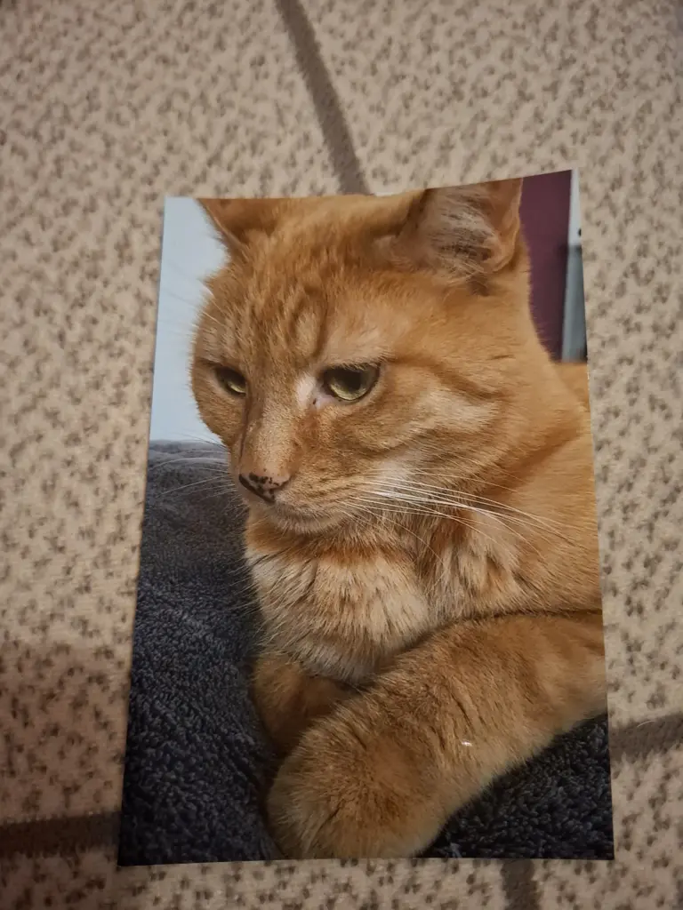 Andachtsbild von Vivianne Fandel