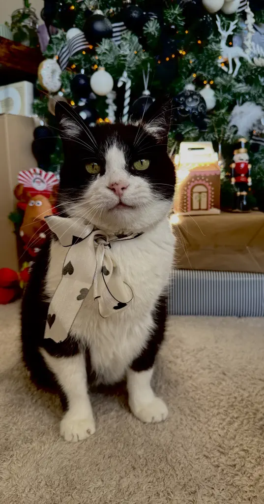 Andachtsbild von Erzsebet Korodi