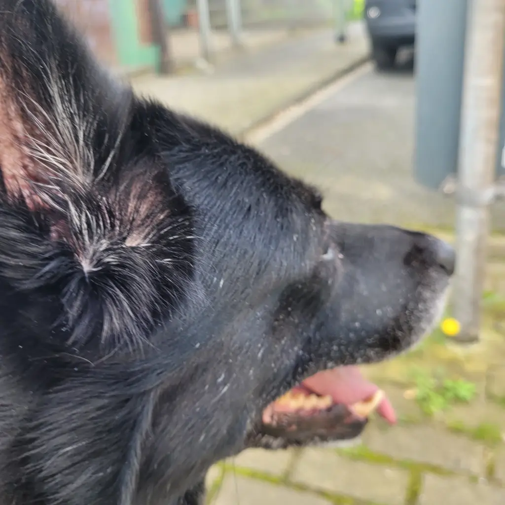 Andachtsbild von Kerstin Wisniewski