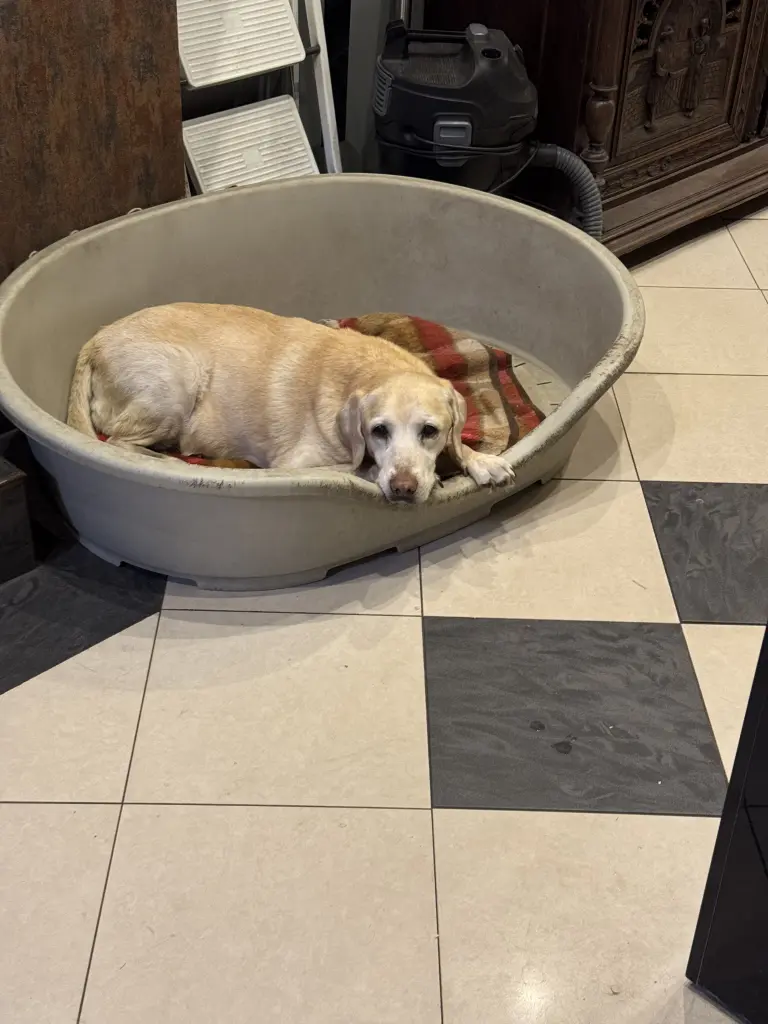 Andachtsbild von Michaela