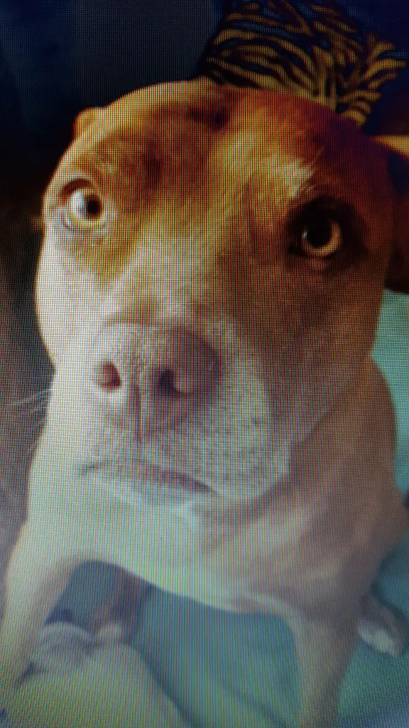 Condolence image of Manu u.Pascal mit Louisa im Herzen gestorben 7.2.18