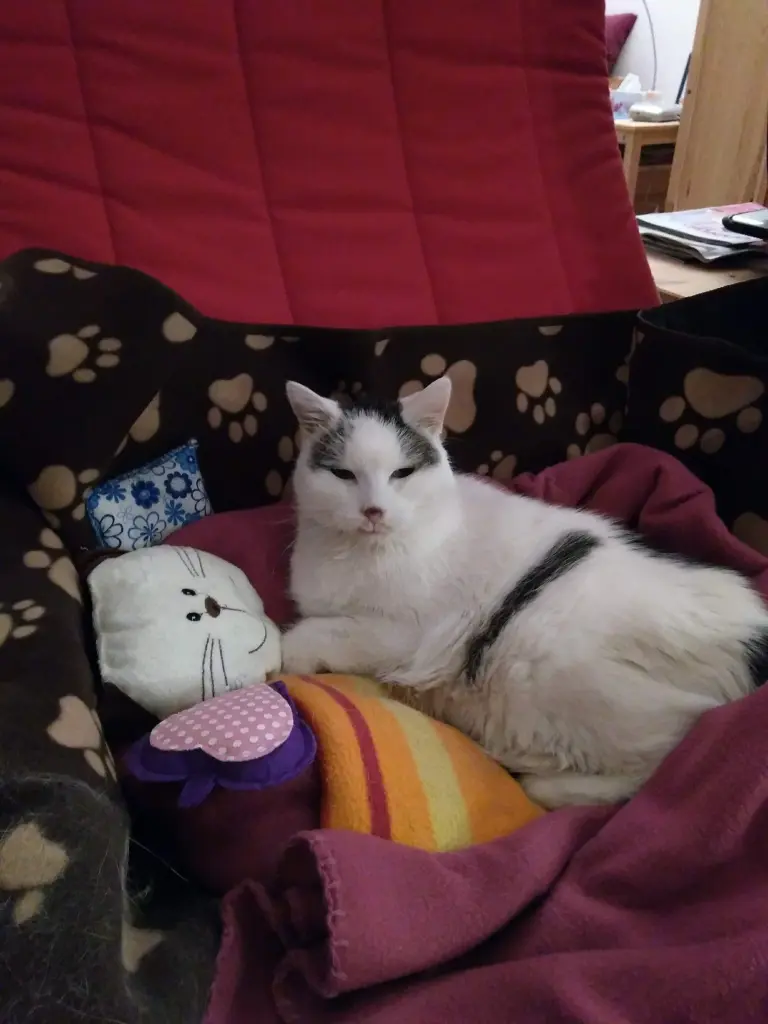 Condolence image of Sabine 