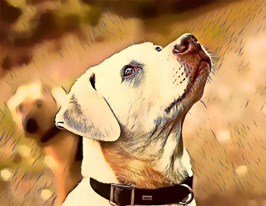 Condolence image of Unbekannt