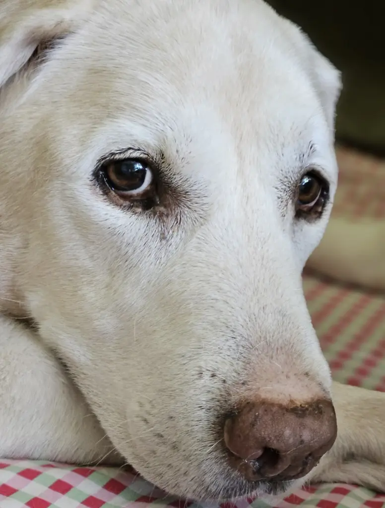 Andachtsbild von Martina Lorenz