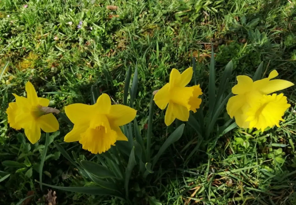 Andachtsbild von Stephanie Thudium