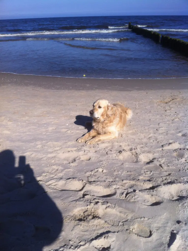 Andachtsbild von Andy ❤️ und Piet ❤️❤️