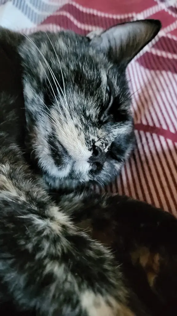 Condolence image of Andreas