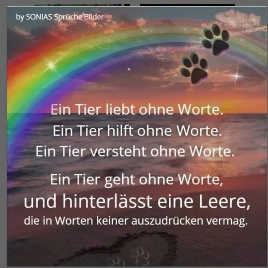 Condolence image of Ulla mit Trixi im.Herzen