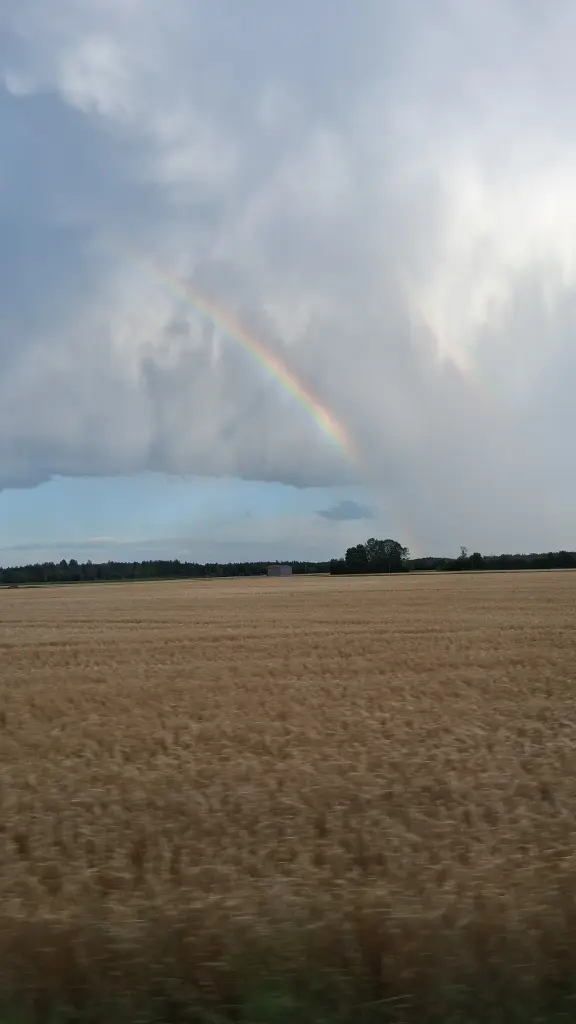 Condolence image of Für  Cordalis 