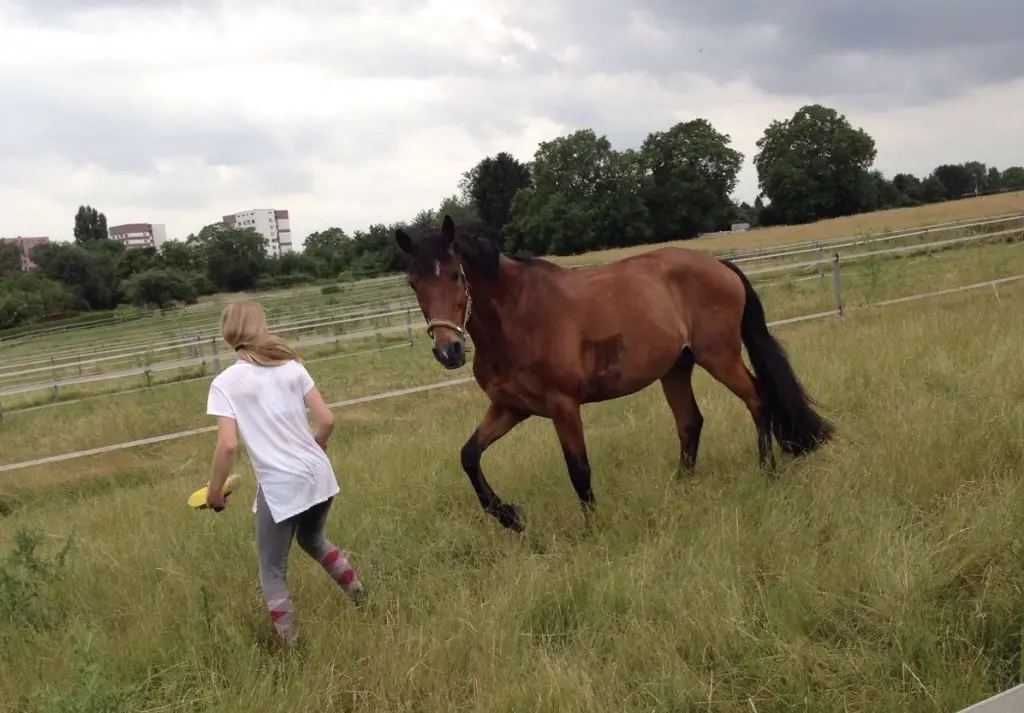 Condolence image of Salo 