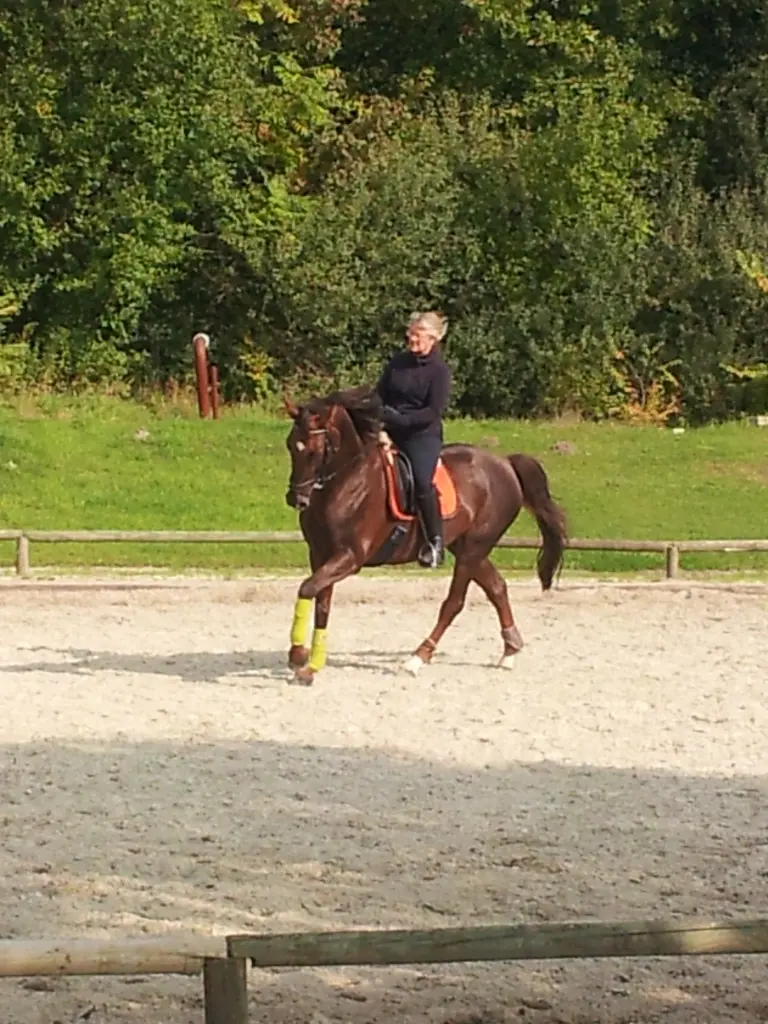 Condolence image of Annette und Luki