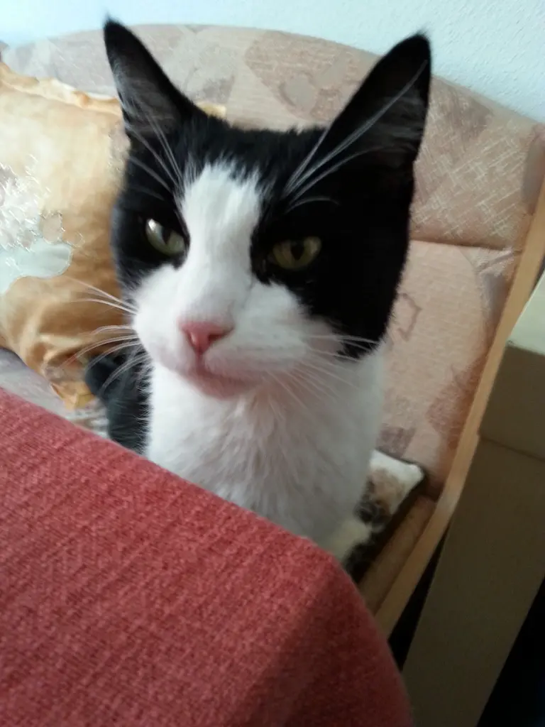 Condolence image of Peter und Marina mit Whisky Gestorben am 25.11.2017