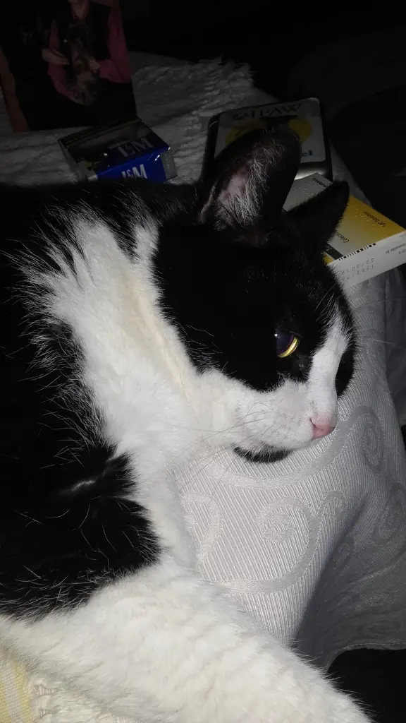 Condolence image of Ute Gerstäcker