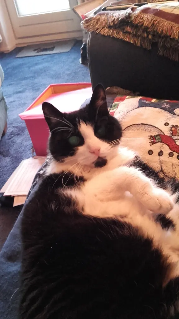 Condolence image of Ute Gerstäcker