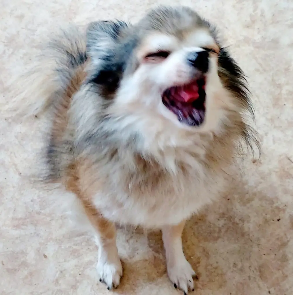 Du warst einmalig und wundervoll.