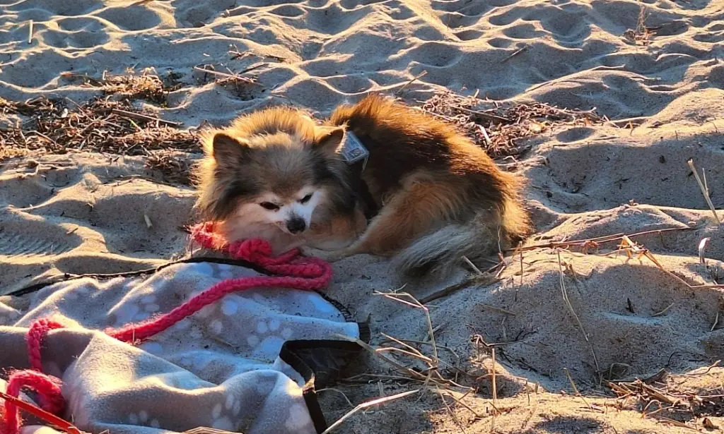 Dein letzter Urlaub am Meer im April '25