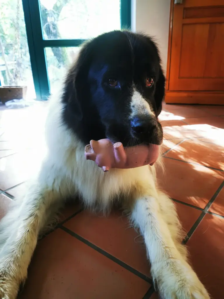 Andachtsbild von Jutta In unseren Herzen bleiben Sie für immer  an unserer Seite. Danke