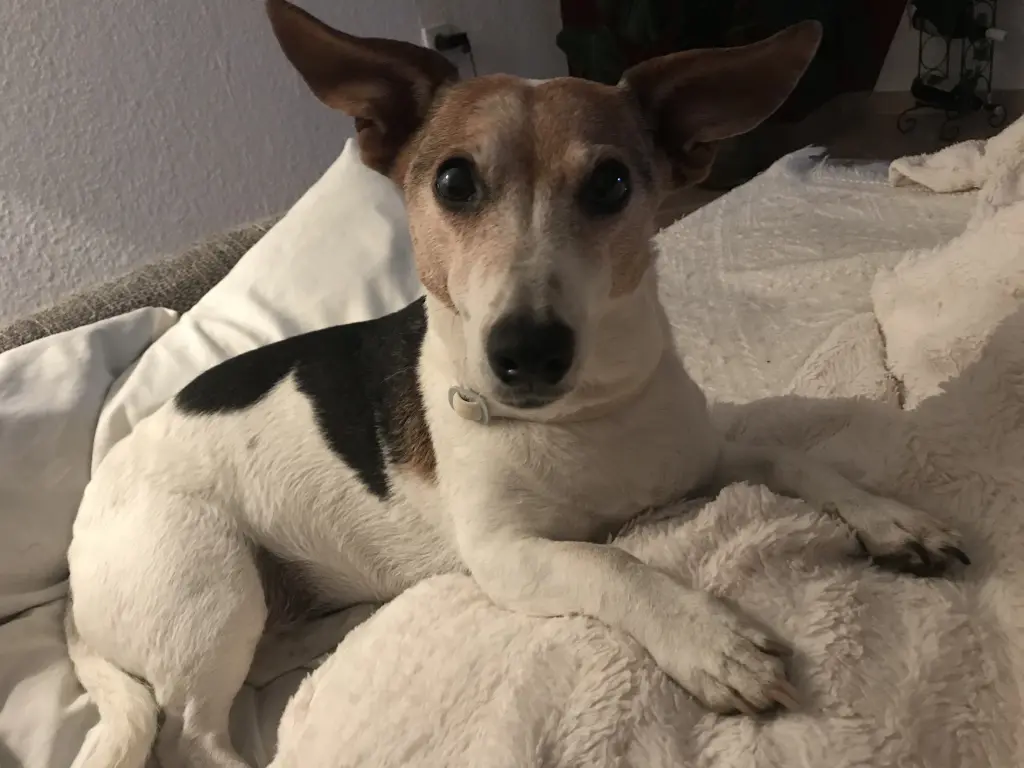 Andachtsbild von Mona mit Lina im ♥️