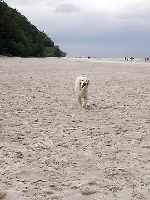 Andachtsbild von Andy ❤️ und Piet ❤️❤️