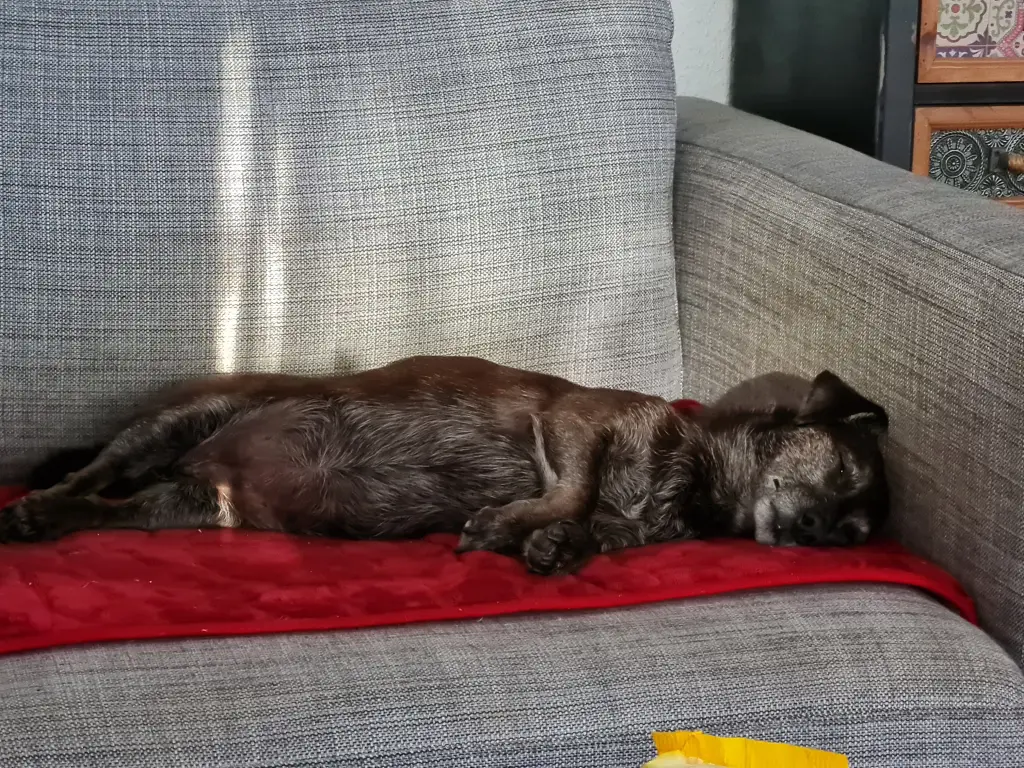 Bild von Lilly