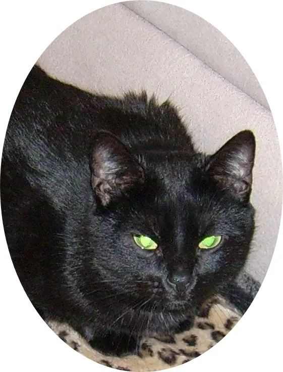 Andachtsbild von Rita