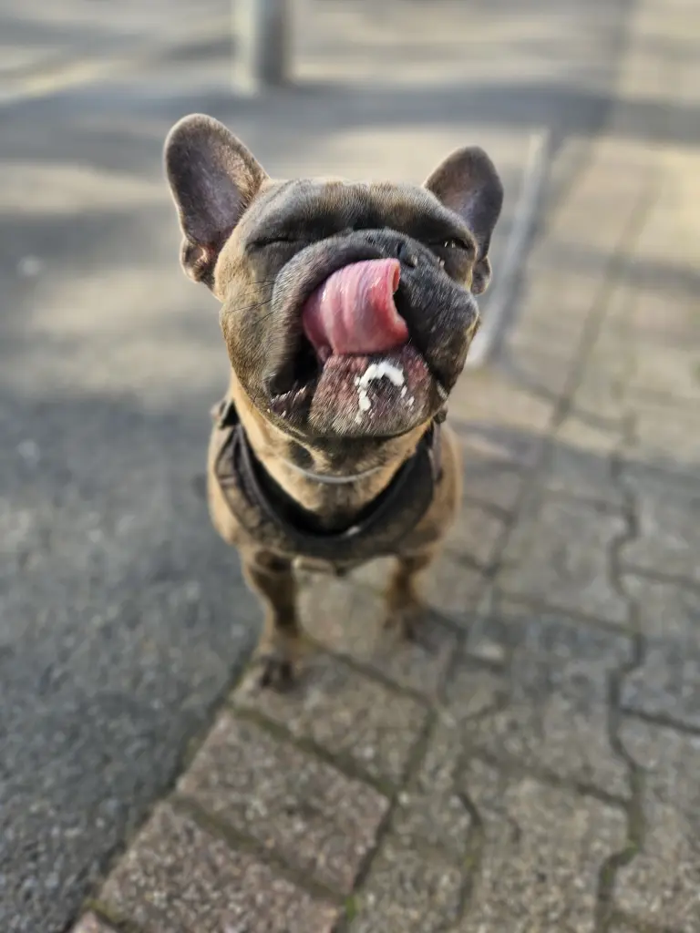 Image from Balu