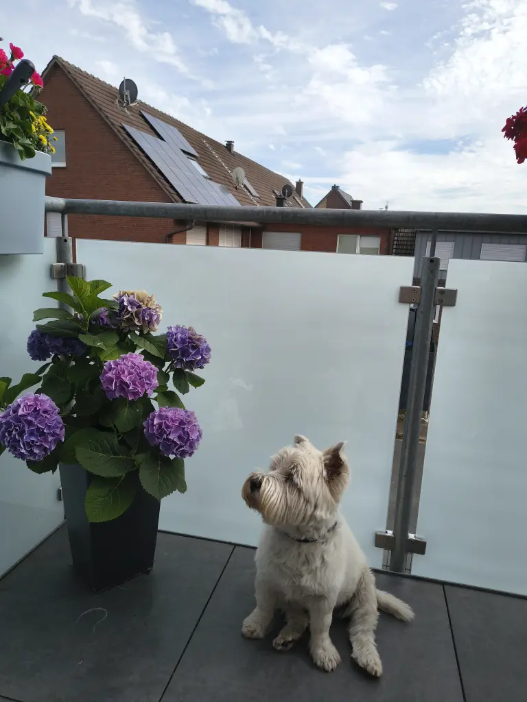 Andachtsbild von Monika Kasimir