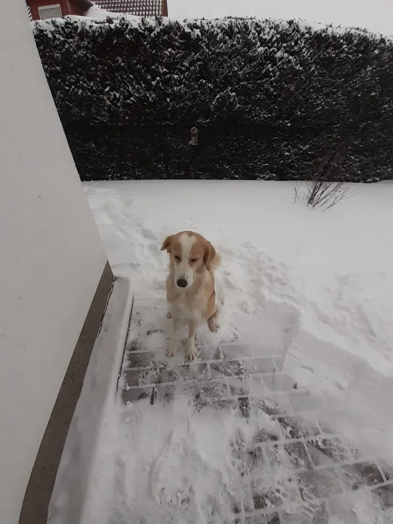 Andachtsbild von Gundula