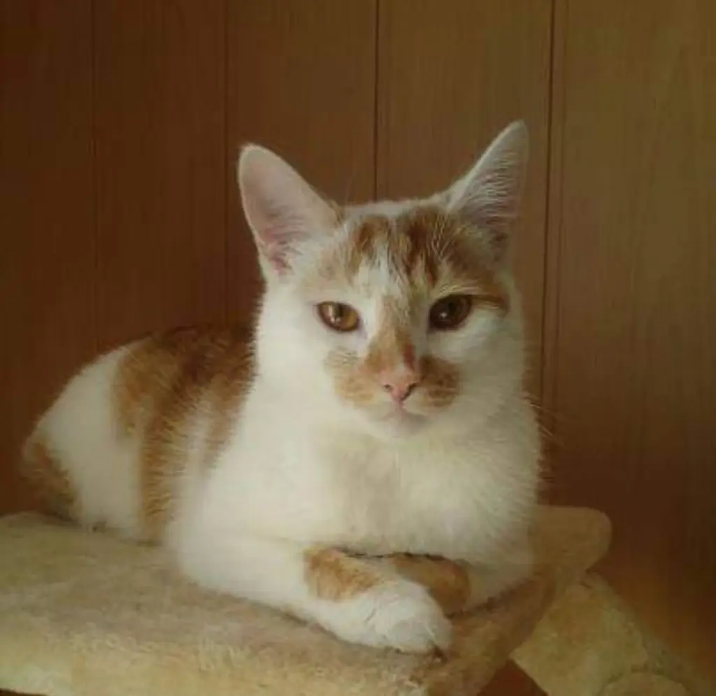 Bild von Charly