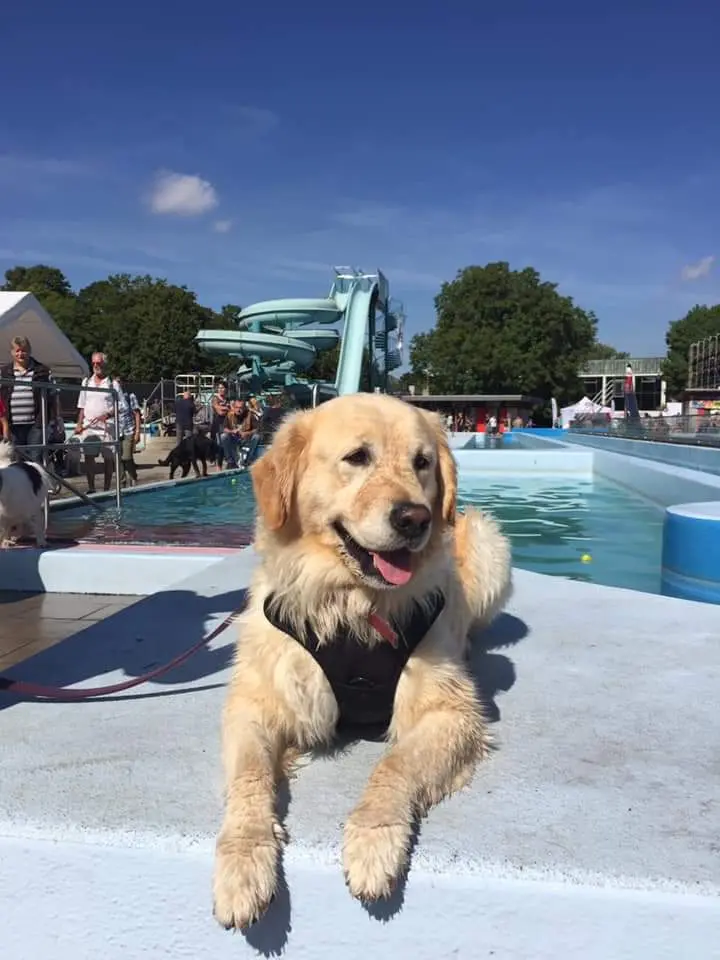 Andachtsbild von Peter & Christa mit Theo♥️