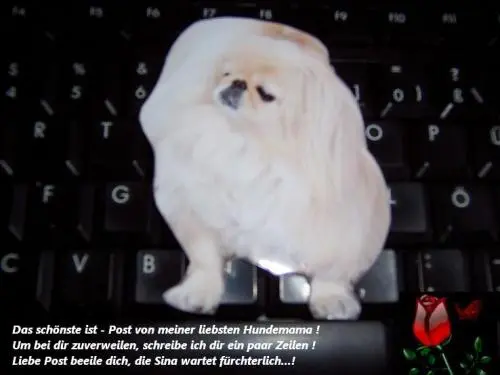Image from meine kleine Blondine