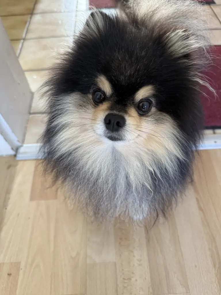 Andachtsbild von Claudia  Wilden