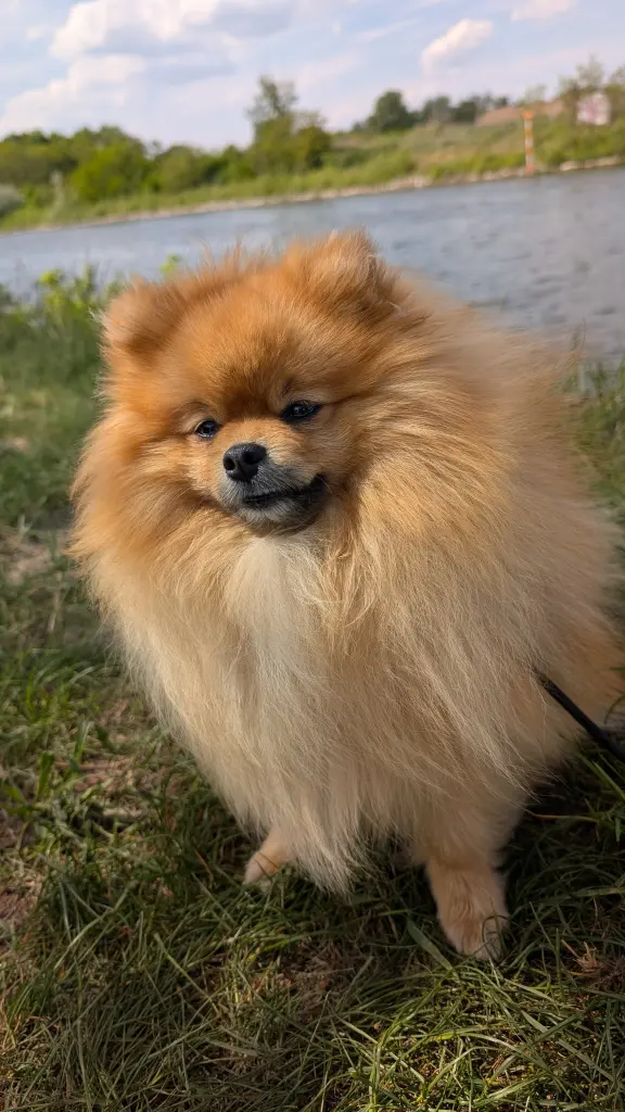 Andachtsbild von Christel 