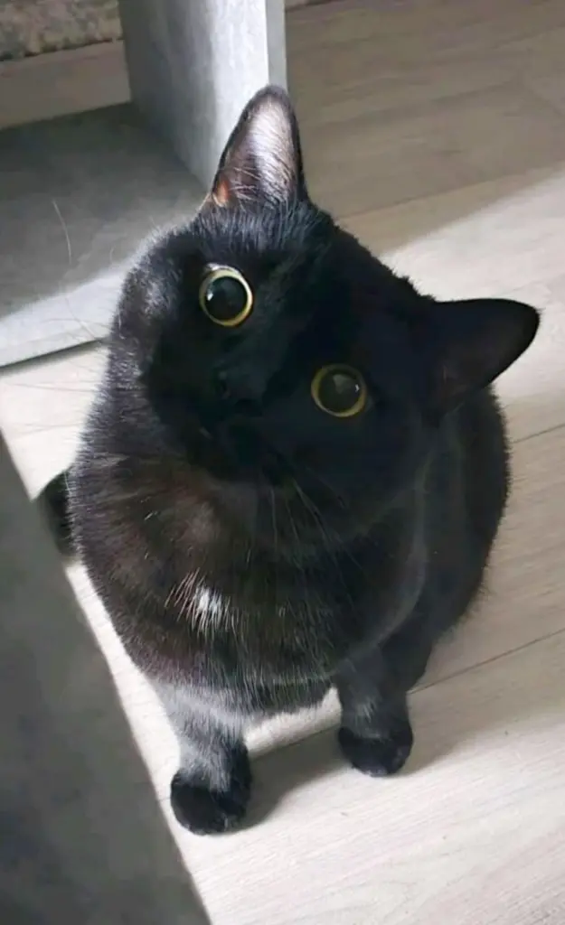 Bild von Salem