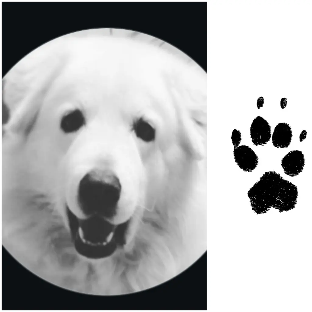 Andachtsbild von Andrea Müller