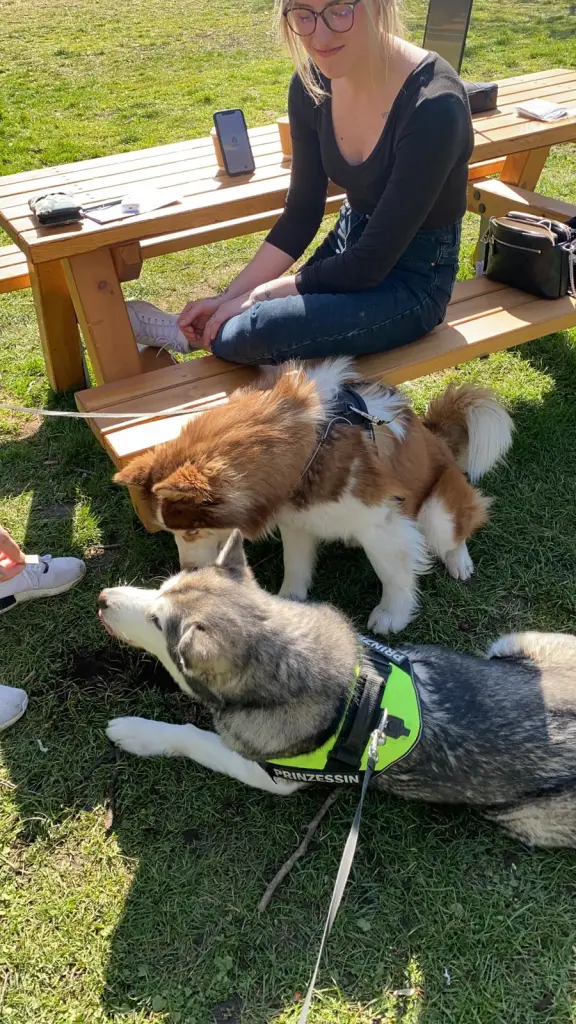 Bild von Nanook